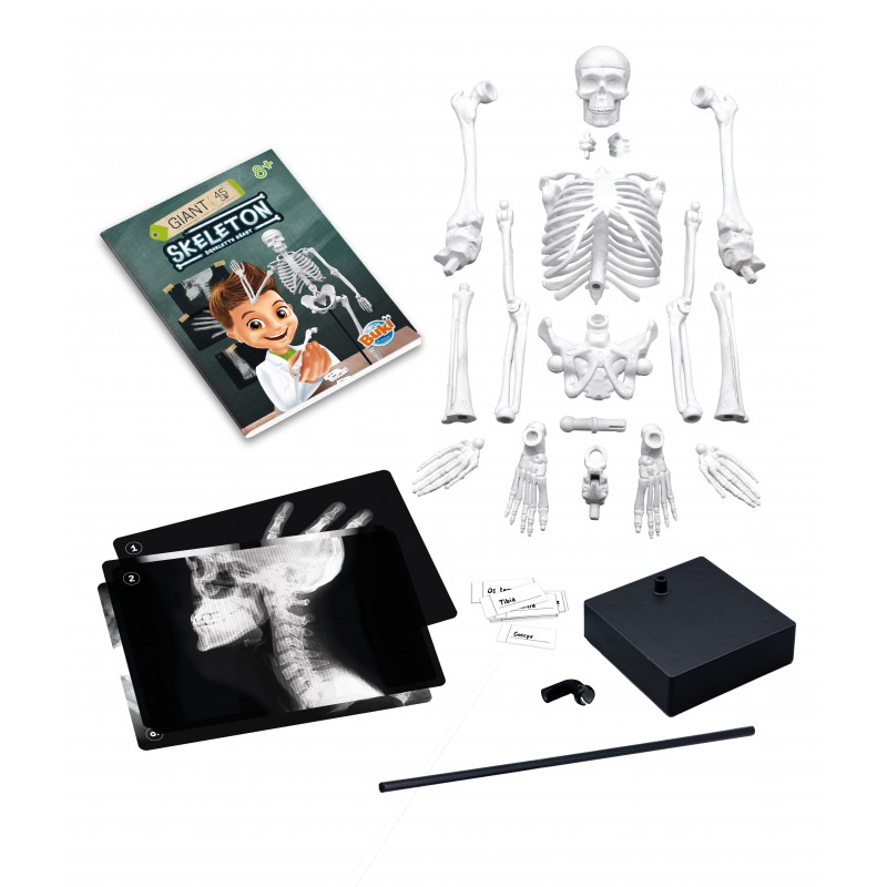related-items